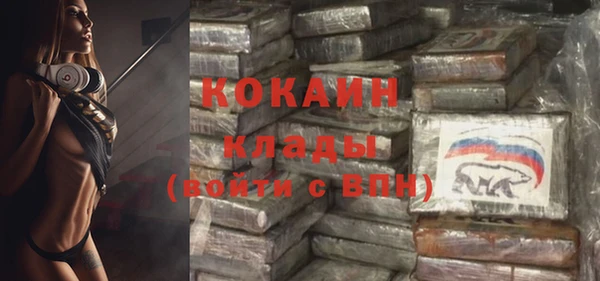 хмурый Верея