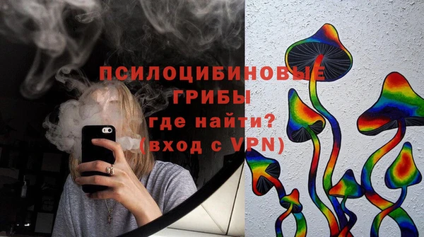 хмурый Верея