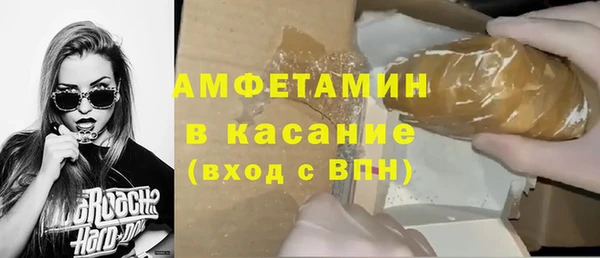 хмурый Верея
