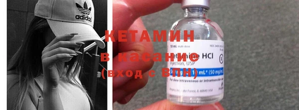 хмурый Верея