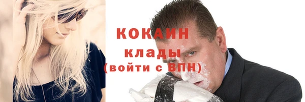 хмурый Верея