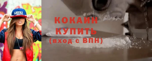 хмурый Верея