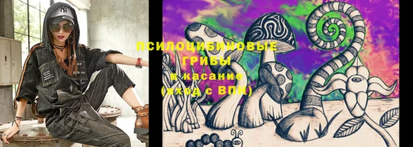 прущие крисы Верхний Тагил