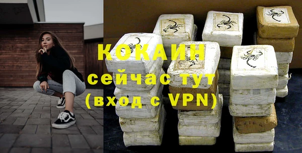 хмурый Верея